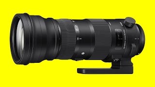 Nikon 200500mm vs Sigma 150600mm  Which One Should I Buy [upl. by Ydassac]