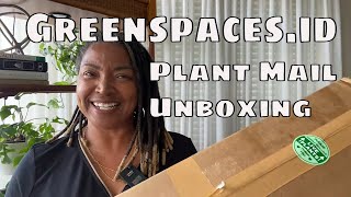 Greenspacesid Rare Plant Haul Unboxing amp Plant Import tips Plant Mail Beautiful Variegated Plants [upl. by Raveaux]