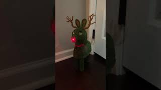 GEMMY 1997 Singing Rudolph the Red Nose Reindeer Topiary￼￼ [upl. by Lenna960]