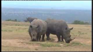 ABERDARES NATIONAL PARK in KENYA [upl. by Chance]