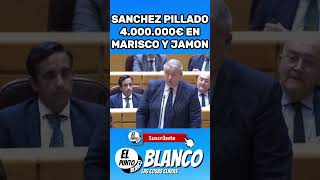 SANCHEZ PILLADO 4000000€ MARISCO Y JAMON EN EL FALCON shorts pedrosanchez falcon vox abascal [upl. by Nirag211]