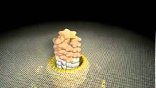 Movie of Flagellar Assembly [upl. by Rickie]