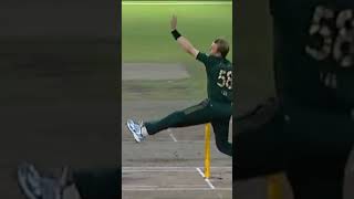 Brett Lee Beautiful Bowling Action  Side View cricket brettlee cricketlover bowling [upl. by Hyacinthe]