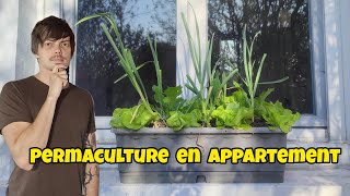 Comment crée un POTAGER en jardinière pour de grosses production de légumes [upl. by Rorie]