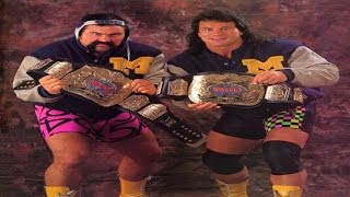 The Steiner Brothers Theme [upl. by Refannej560]