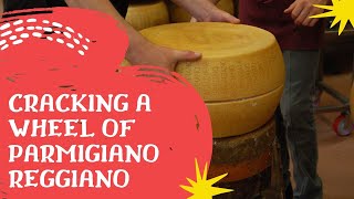 Cracking A Wheel Of Parmigiano Reggiano [upl. by Birkle383]