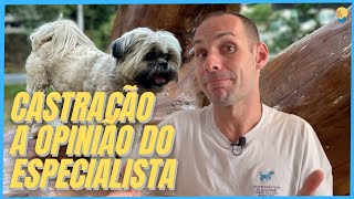 EXISTE IDADE CERTA PARA CASTRAR UM CÃO ESSA É A RESPOSTA DEFINITIVA SOBRE A CASTRAÇÃO [upl. by Ahsimak]