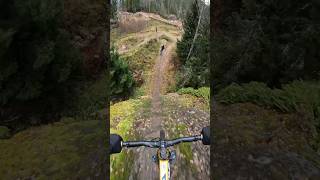 Such a cool line bike biking mountainbike mtb slopeduro [upl. by Eyatnod]