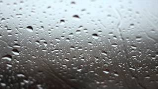 Rainy Day Background Video  No Sound [upl. by Argyres724]