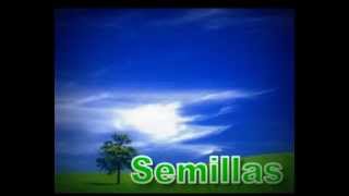 SEMILLAS  LA ANCIANA Y LAS SEMILLAS  narrado en español latino [upl. by Gaves613]