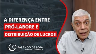 Qual a diferença entre prólabore e distribuição de lucros  Dicas para Lojistas e Gestores [upl. by Pearlstein]