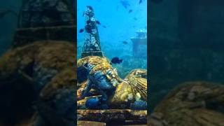 shree krishna dwarika nagri in underwater  Lost city dwarka [upl. by Pieter54]