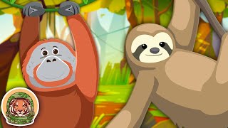 Learn About Endangered Animals  Animal Songs For Kids  KLT WILD [upl. by Sofie362]