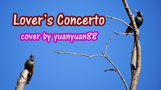 Me singing Lovers Concerto 爱的协奏曲 yuanyuan88 cover [upl. by Nwahsat]