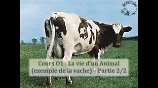 Cours O1  La vie dun animal exemple de la vache  Partie 22 [upl. by Kingsley]