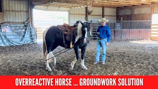 Fixing a Horses Overreactive Behavior BEFORE Riding [upl. by Loss]