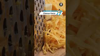 Cheese Facts shorts facts interestingfacts [upl. by Madelena211]