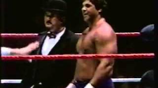 Don Muraco vs Swede Hansen P1 [upl. by Ayanej]