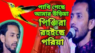 পাখি গেছে আমার উড়িয়া🔥pakhi geche Amar Oriya🔥Shilpi simul Hasan🔥viral bicched gaan🔥 জিরাতি টিভি [upl. by Dulcinea499]