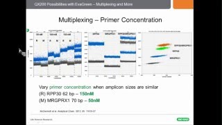 Precision Molecular Profiling of Cancer Using Droplet Digital™ PCR [upl. by Ecined]