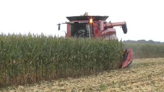 Case IH 8230 AxialFlow Combine [upl. by Corell167]