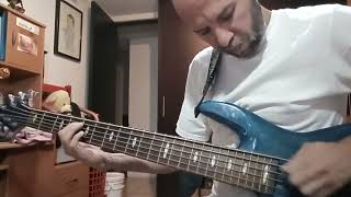 Enjambre  Dulce soledad  Bass cover [upl. by Chapel218]