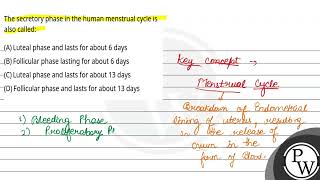 The secretory phase in the human menstrual cycle is also called [upl. by Verada]