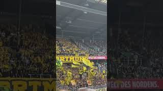 BVB Fans in Bremen 31082024 [upl. by Naej285]