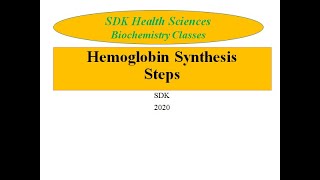 Hemoglobin Synthesis Porphyrin Synthesis [upl. by Gibbeon]