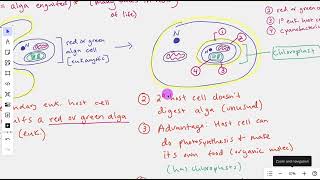 Secondary Endosymbiosis The Process [upl. by Katerina]