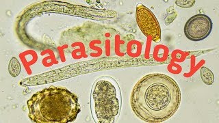 Introduction of Parasitology  Type of parasites and Host [upl. by Yrellav174]