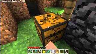 Minecraft Survival  Training GPig [upl. by Llevrac]