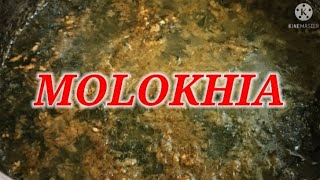 How to cook molokhia or saluyot Arabic recipe [upl. by Ahseirej232]