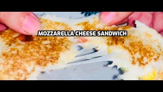 Restaurant style cheese sandwich Mozzarella cheese sandwich recipe  2 minute cheese recipe [upl. by Jaquith409]