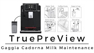 Gaggia  Cadorna Milk Bean to Cup Coffee Machine  Maintenance [upl. by Millisent]