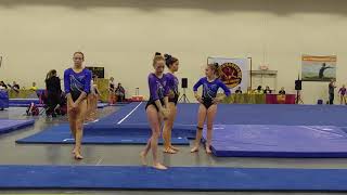 Lily Pederson 10 Year Old Level 8 Gymnast Floor Routine Gopher Invite Meet 2017 [upl. by Jarrid]