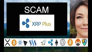 Currencycom New Tokenized Exchange SBI Holdings Breadwinner XRPPlus Scam XRP Partner Happy [upl. by Wiltz]