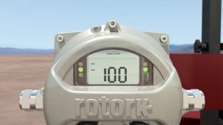 Rotork ELB with GasOverOil Actuators [upl. by Custer]