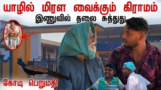 தலை சுத்துது  மிரள வைக்கும் கிராமம்  1 கோடியா 😱  Inuvil  Pavaneesan [upl. by Jolyn]