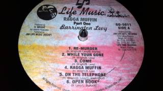 Barrington Levy  While Your Gone [upl. by Robyn181]