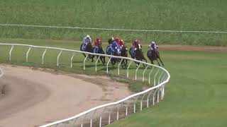 Burdekin 04112023 Race 1 [upl. by Soirtemed]