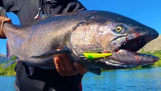 EPIC Salmon FISHING with SAVAGE Bites amp HUGE Salmon [upl. by Nork]