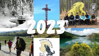 NON CI SIAMO FATTI MANCARE NIENTE Storia di un incredibile 2023 [upl. by Ecinev47]