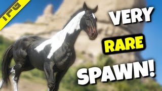 A Rare Horse You Won’t Encounter Every Day  RDR2 [upl. by Rezeile]