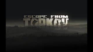 Escape from Tarkov  Scav Runs und Arena  Perfekt kann ja jeder Livestream Deutsch [upl. by Nilesoy]