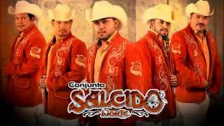 Salcido Norte Cumbias en vivo [upl. by Fariss]