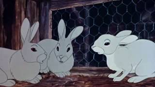 Watership Down 1978 Movie Trailer  John Hurt Richard Briers amp Ralph Richardson [upl. by Earla665]