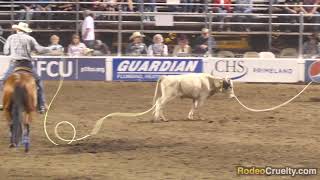 Dead Animals Found at Lewiston Roundup Rodeo Grounds [upl. by Helsa]