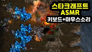 【ASMR】 스타크래프트 밀리 게임  키보드amp마우스 소리  Gamakay K61 카일 블루베리 스위치 소리  스타크래프트 밀리 플레이영상 [upl. by Salzhauer253]