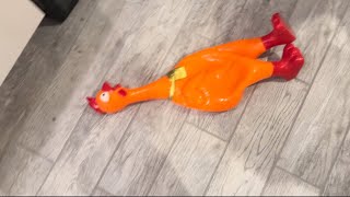 Giant orange rubber chicken screaming [upl. by Meadows]